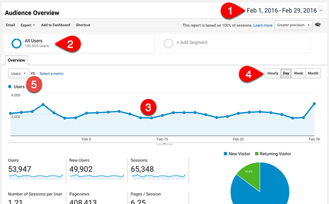 Audience Overview report